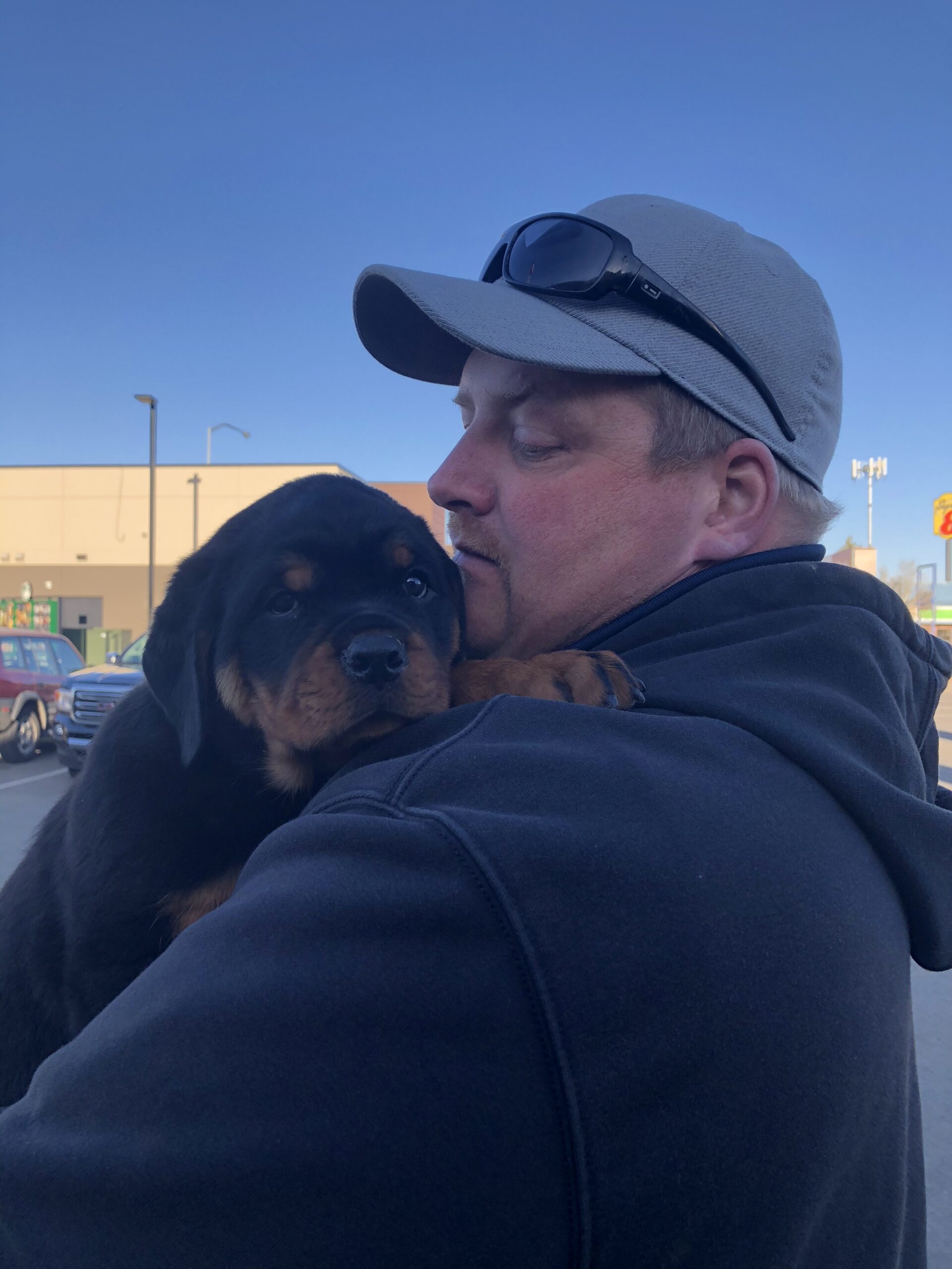 cropped photo of person wearing a hoodie hugging a rottweiler puppy